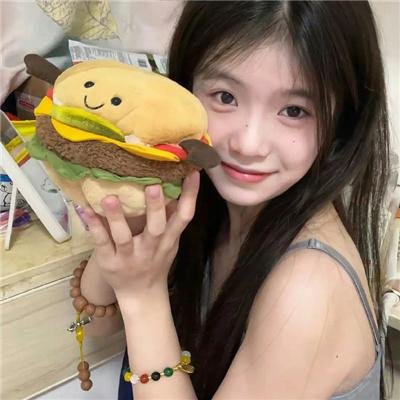 少数意见